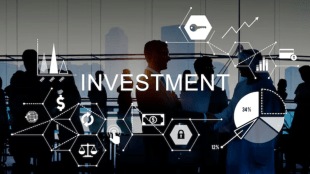 Investors
