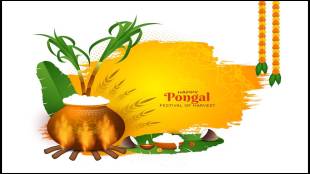 Cultural Rituals Explaining Why Pongal is a Harvest Festival