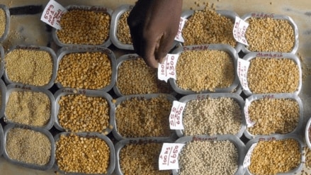 Pulses