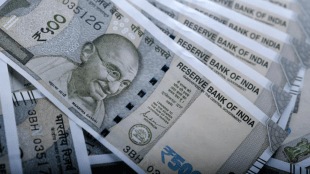 rupee, dollar, RBI, domestic inflows, forex traders, interbank foreign exchange, FIIs