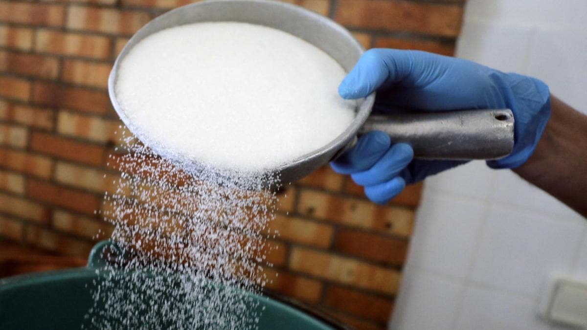 India to export 1 million tons of sugar amid rising ethanol demand and output concerns