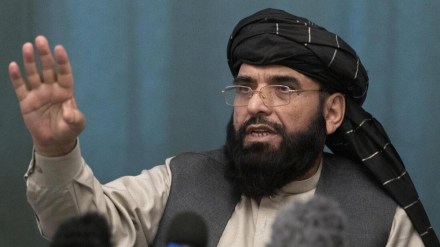 Suhail Shaheen, taliban, Afghanistan, world news