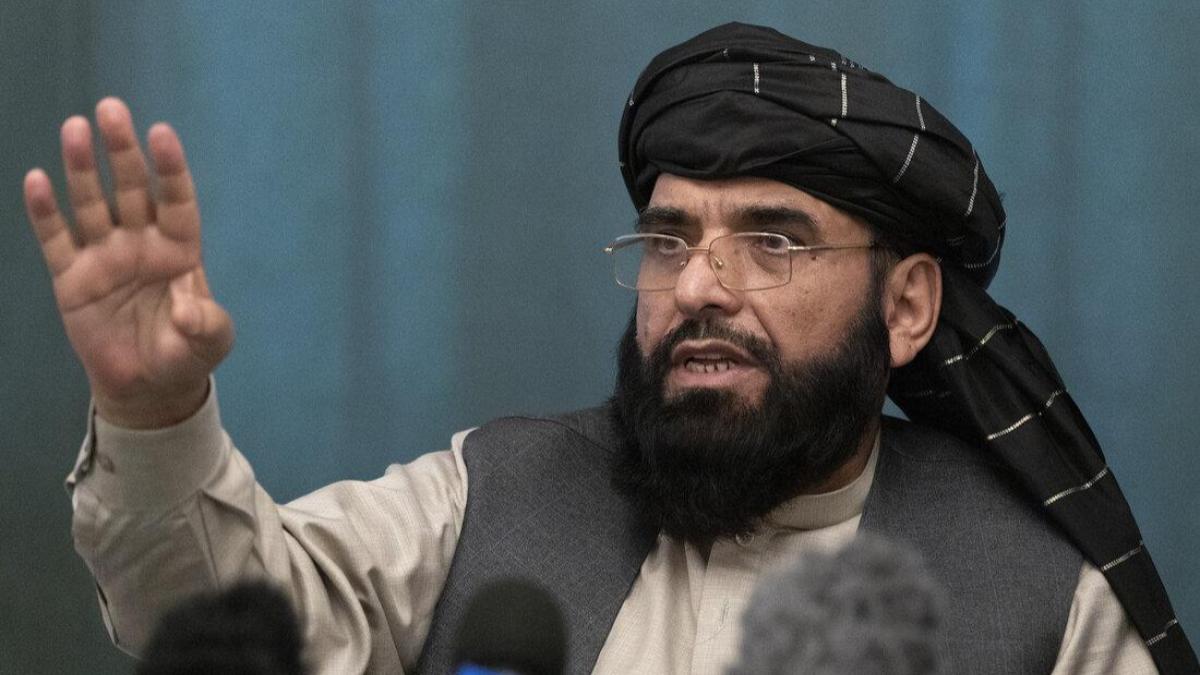 Suhail Shaheen, taliban, Afghanistan, world news Suhail Shaheen, taliban, Afghanistan, world news