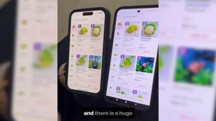 Pooja Chhabda, Zepto, price Difference On Zepto For Android And iPhone Users, quick commerce, zepto price difference, ios android price difference Pooja Chhabda, Zepto, price Difference On Zepto For Android And iPhone Users, quick commerce, zepto price difference, ios android price difference