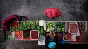 Economy, dairy, poultry, agriculture, farmers, APEDA, DGCIS,