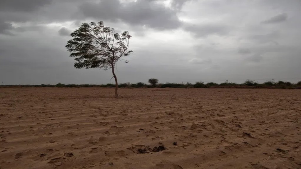 MSP, economy, agriculture, fruits, vegetables, rabi crops, India Meteorological Department, IMD, winter crops