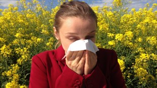 ICD 10 code for seasonal allergic rhinitis, non seasonal allergic rhinitis, non seasonal allergic rhinitis ICD 10, other seasonal allergic rhinitis, chronic seasonal allergic rhinitis ICD 10, other seasonal allergic rhinitis symptoms, non seasonal allergic rhinitis is also referred to as, perennial and seasonal allergic rhinitis, seasonal allergic rhinitis due to pollen, seasonal allergic rhinitis symptoms, seasonal allergic rhinitis acute or chronic, seasonal allergic rhinitis and chronic idiopathic urticaria, seasonal allergic rhinitis and asthma, perennial allergic rhinitis and chronic urticaria, perennial allergic rhinitis and urticaria, perennial allergic rhinitis and asthma, seasonal allergic rhinitis signs and symptoms, seasonal perennial allergic rhinitis and chronic urticaria, is seasonal allergic rhinitis a chronic condition, seasonal allergic rhinitis is also known as, acute seasonal allergic rhinitis ICD 10, acute seasonal allergic rhinitis, allergic rhinitis vs seasonal allergic rhinitis, acute seasonal allergic rhinitis symptoms, autumn seasonal allergic rhinitis, acute seasonal allergic rhinitis ICD, allergen injection immunotherapy for seasonal allergic rhinitis, allergic rhinitis vs seasonal allergies, is allergic rhinitis the same as seasonal allergies, seasonal allergic rhinitis meaning in Bengali, can allergic rhinitis be seasonal, best treatment for seasonal allergic rhinitis, what is seasonal allergic rhinitis, causes of seasonal allergic rhinitis, health news, wellness news,