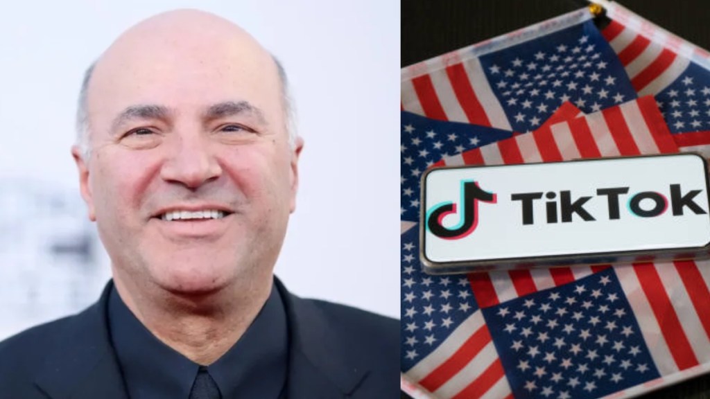 Shark Tank's Kevin O'Leary bids to buy TikTok and save It from US ban