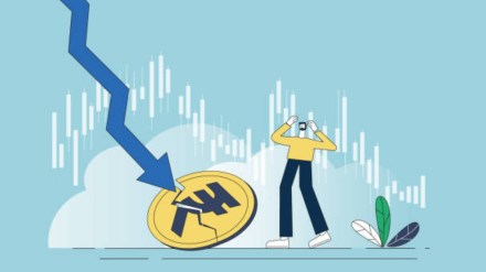 Rupee fall casts shadow over rate cuts