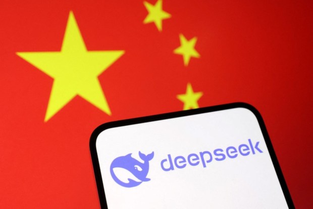 Deepseek logo and the Chinese flag are seen in this illustration taken January 27, 2025. REUTERS/Dado Ruvic/Illustration.
