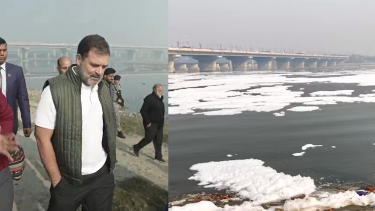 Delhi Assembly Elections 2025: Rahul Gandhi slams Arvind Kejriwal over Yamuna promises, asks 'when will you take a dip' | Watch Delhi Assembly Elections 2025: Rahul Gandhi slams Arvind Kejriwal over Yamuna promises, asks 'when will you take a dip' | Watch