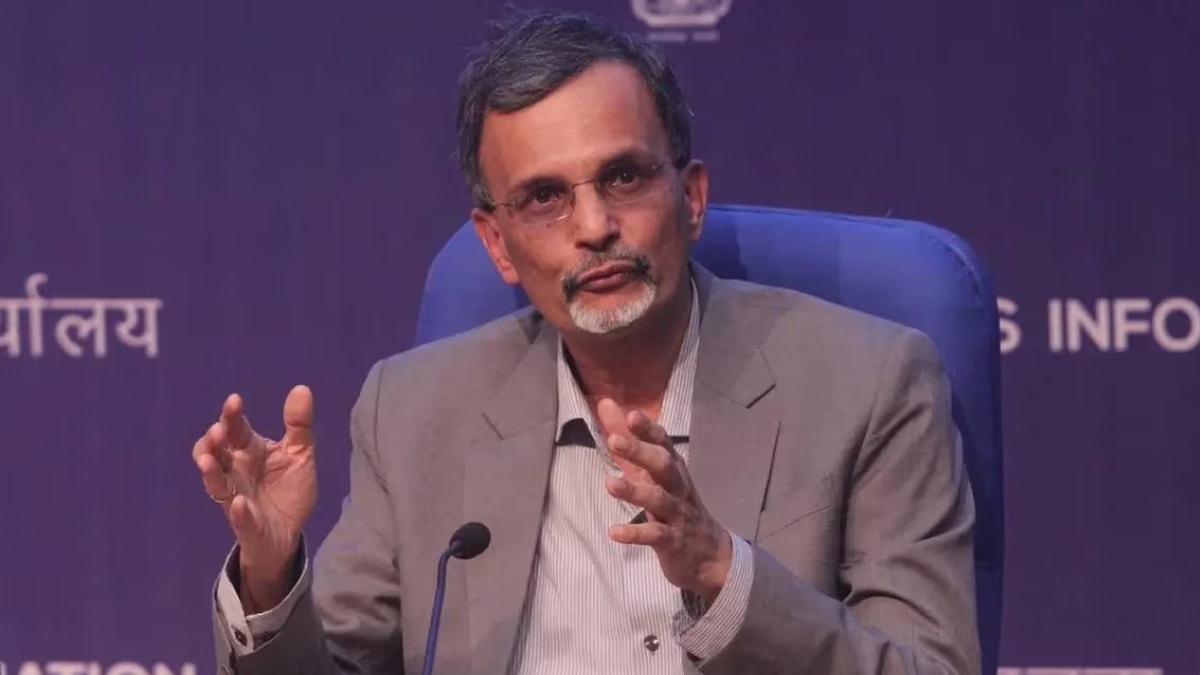 FE Exclusive: 'We need to focus on domestic drivers of growth', CEA