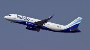 IndiGo Expands International Network with New Direct Flight to Madinah. (Image Source: PTI)