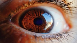 Glaucoma market to grow to $2.5 billion in seven major markets by 2033