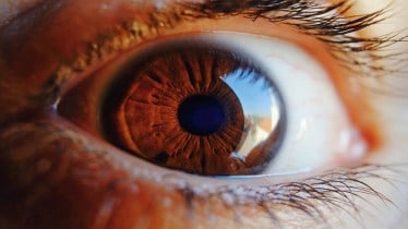 Glaucoma market to grow to .5 billion in seven major markets by 2033