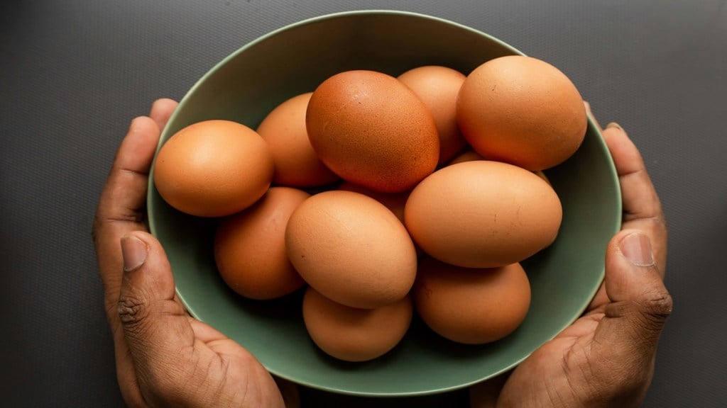 Egg prices United States, egg prices in the US, how much is an egg in USA, egg price in USA, how much do eggs cost in America, U.S. egg prices chart, egg prices USDA, average egg price United States, U.S. egg prices, United States egg prices, blue egg price, 1 egg cost in USA, chicken egg price in USA, egg prices data, egg price USA, highest egg prices in USA, historical egg prices USDA, egg prices in the United States, egg price in America, eggs United States, are egg prices going up, jumbo egg prices, Japan egg prices, Kroger egg prices today, large egg prices, market egg price, egg prices nationally, how much does 1 dozen of eggs cost, how much does a carton of 18 eggs cost, price of eggs United States, PA egg prices, quail egg price per dozen, quail egg prices, are egg prices going up again, are egg prices up, egg tray price in USA, what is the price of egg tray, Texas egg prices, expensive egg prices, x large eggs +22%, 1 dozen egg price in America, 1 dozen eggs price 2020, 2 egg price +33%, 3 eggs price -25%, 3 large eggs price, 4 eggs price -29%, health news, wellness news,