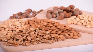 brazil nuts benefits, cashew nuts benefits, macadamia nuts benefits, pine nuts benefits, brazil nuts benefits female, cashew nuts benefits for female, pecan nuts benefits, tiger nuts benefits sexually, cashew nuts benefits for male, fox nuts benefits, nuts benefits and side effects, nuts benefits and disadvantages, nuts and benefits, benefits nuts and seeds, nuts almonds benefits, macadamia nuts benefits and side effects, cashew nuts benefits and side effects, pine nuts benefits and side effects, pecan nuts benefits and side effects, pili nuts benefits and side effects, almond nuts benefits, almond nuts benefits for female, activated nuts benefits, areca nuts benefits, african bitter kola nuts benefits, almond nuts benefits for pregnancy, almond nuts benefits and side effects, anjeer nuts benefits, afghan pine nuts benefits, acrod nuts benefits, nuts benefits brain, nuts benefits body, nuts butter benefits, honey nuts benefits bangla, nuts health benefits brain, cashew nuts benefits brain, nuts before bed benefits, nuts for breakfast benefits, nuts and berries benefits, nuts and banana benefits, brazil nuts benefits male, brazil nuts benefits female weight loss, baru nuts benefits, brazil nuts benefits for skin, brazil nuts benefits in hindi, brazil nuts benefits for female fertility, betel nuts benefits, brazilian nuts benefits, nuts benefits chart, nuts benefits cholesterol, nut cashew benefits, nutcracker benefits, brazil nuts benefits cholesterol, nuts benefits for child, brazil nuts benefits calories, macadamia nuts benefits cholesterol, brazil nuts benefits constipation, brazil nuts benefits costco, cashew nuts benefits for female breast, chest nuts benefits, cashew nuts benefits for female weight loss, cashew nuts benefits for female fertility, cashew nuts benefits for skin, casio nuts benefits, nuts benefits during pregnancy, nut benefits diabetes, nuts drink benefits, nuts drink benefits in tamil, nuts delight benefits, macadamia nuts benefits during pregnancy, brazil nuts benefits during pregnancy, cashew nuts benefits during pregnancy, brazil nuts benefits diabetes, pecan nuts benefits diabetes, dry nuts benefits, dry fruits and nuts benefits, dates nuts benefits, dates and tiger nuts benefits, daily eating nuts benefits, health news, wellness news,