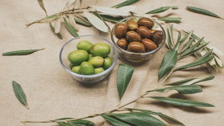 Olive oil and bay leaves, rosemary leaves and olive oil for hair, olive oil and bay leaves for skin, olive oil, bay leaves, and rosemary, curry leaves and olive oil for hair, benefits of bay leaves and olive oil for hair, oregano leaves and olive oil, benefits of bay leaves and olive oil for skin, olive oil and basil leaves, neem leaves and olive oil, olive oil as leave-in conditioner, olive oil as leave-in, does olive oil leave a stain on clothes, does olive oil leave a taste, does olive oil leave a stain, olive oil advantages and disadvantages, olive oil for external use only, olive branch and leaves, olive tree leaves are dry, olive tree leaves curling and dry, olive oil leaves, olive oil leaves benefits, olive oil leaves tea benefits, is olive leaf extract and olive oil the same, olive oil and mango butter leave-in conditioner, olive oil and mango butter leave-in, olive oil brand leave-in conditioner, olive oil anti-breakage leave-in conditioner, mashed potatoes with olive oil and bay leaves, bay leaf and olive oil, benefits of olive oil and lemon juice, benefits of olive oil, lemon, and cayenne, olive oil and curry leaves for hair, olive oil leave-in conditioner, olive oil cream leave-in conditioner, olive oil fried coriander leaves, olive oil and mango leave-in conditioner, olive oil leave-in conditioner spray, olive oil leave-in conditioner rice water, olive oil leave-in conditioner for curly hair, olive oil leave-in conditioner Walmart, olive oil leave-in conditioner Regis, olive oil defects, what to do with leftover olive oil, what does olive oil, lemon, and cayenne pepper do, lemon, olive oil, and cayenne pepper, can you use olive oil as leave-in conditioner, can olive leaf extract cause anxiety, olive oil designline leave-in conditioner, olive oil deep leave-in conditioner, olive oil heat defense leave-in spray, does olive oil and bay leaves help varicose veins, olive oil on dry dog food, olive oil downsides, olive oil and lemon detox, olive oil and lemon diet, olive oil and lemon drink, olive oil and lemon daily, how to use dried olive leaves, how to dry olive leaves, how to use dry cured olives, dried olive leaves benefits, difference between olive oil and olive leaf extract, difference between olive leaf and olive leaf extract, does olive oil and lemon detox your liver, olive oil leaves extract, olive oil edible leaves, olive oil cress edible leaves, olive oil events, can olive oil cause ear infection, olive oil and eucalyptus, olive oil and eyes, olive oil and lemon ed, olive oil and lemon every morning, what is olive oil leaf extract good for, oil of oregano and olive leaf extract, effects of olive oil and lemon juice, extra olive oil and lemon, olive oil and rosemary leaves for hair, olive oil and rosemary leaves for hair growth, olive oil and neem leaves for hair, olive oil from leaves, what to do with olive leaves, olive leaves use, olive oil and vinegar for leather, rosemary leaves and olive oil for hair growth, does olive oil preserve food, olive oil grape leaves, is olive oil and bay leaves good for varicose veins, olive oil and gloves, olive oil and grapefruit, olive oil and lemon good for, olive oil and leaky gut, is olive oil good for gut, what is olive leaves good for, what is olive oil and lemon good for, garlic and olive leaf extract, olive oil hair leave-in conditioner, olive oil hair leave-in, health news, wellness news,