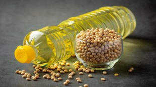 AWL Agri Business, Adani Group, Q1FY26, profit, revenue, edible oil, FMCG