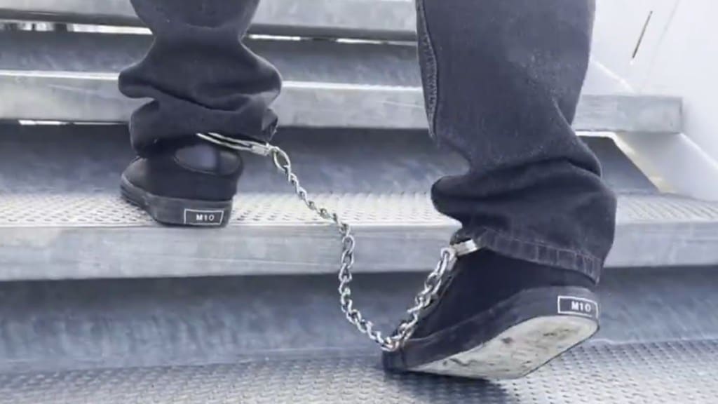 deportation, immigration, donald trump, white house, elon musk deportation, immigration, donald trump, white house, elon musk