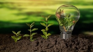 Greening the MSMEs: Policy perspectives