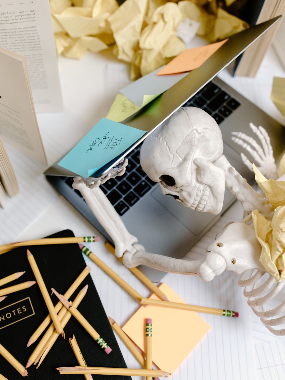 procrastinate, how not to procrastinate, how to reduce procrastination, procrastination,