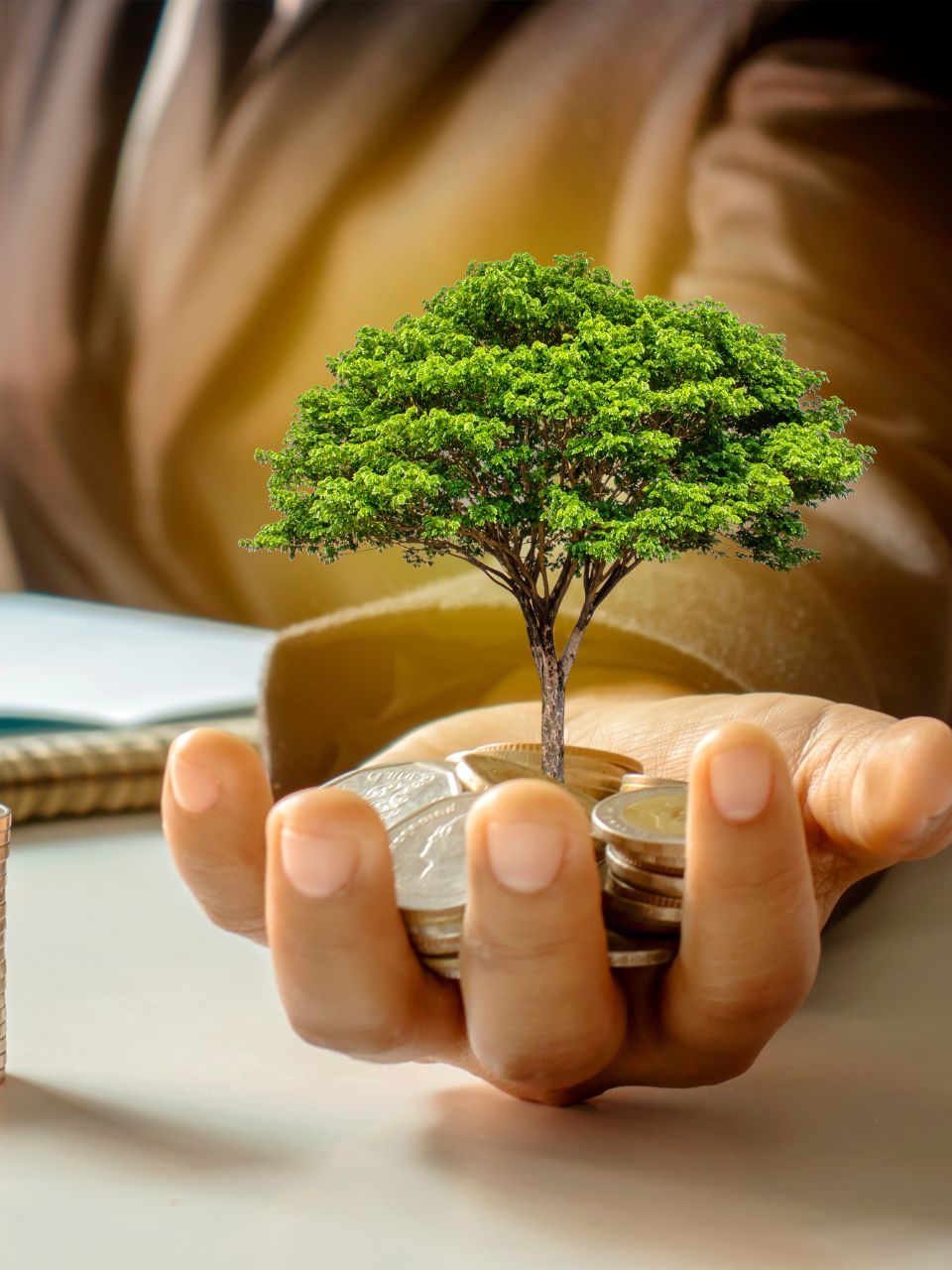 SIP myths busted, common SIP misconceptions, SIP investment for beginners, is SIP risk-free, SIP vs lump sum investment, benefits of SIP in mutual funds, best SIP investment strategies, how SIP works, mutual fund myths, best mutual funds for SIP, systematic investment plan for young professionals, SIP returns explained