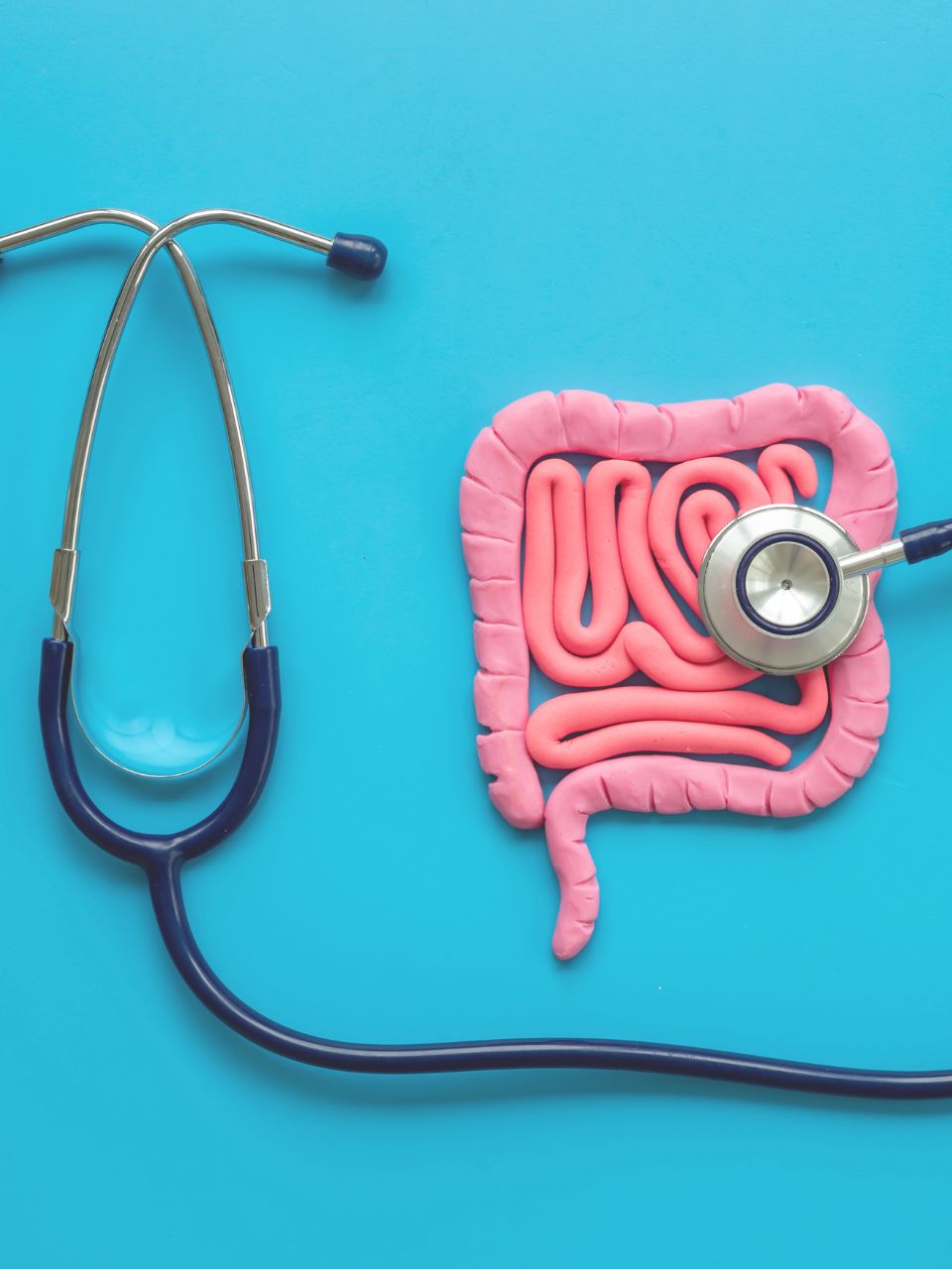 gut health improvement, probiotics for gut health, high-fiber diet benefits, hydration and digestion, stress impact on gut, exercise and gut motility, sleep and gut bacteria, processed foods and gut health, mindful eating digestion, antibiotics and gut microbiome