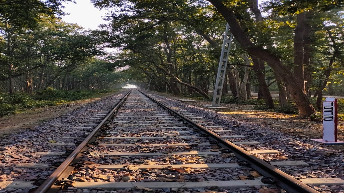 RVNL share price today, February 05