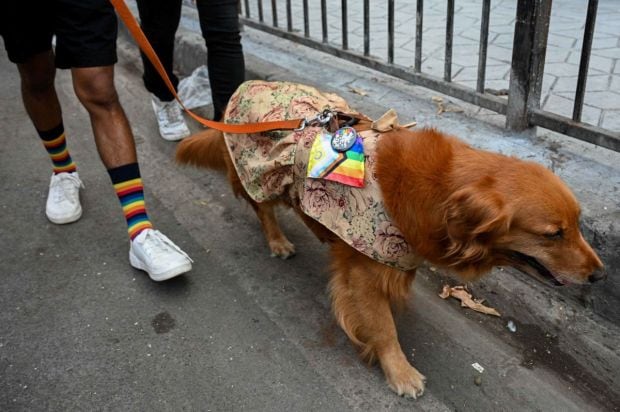 A dog participated in the Parade with the symbol of Pride month. The Mumbai Queer Pride Parade 2025, shows inclusivity of the community and a push back against cisgender norms. (Image Source: Express Photo)