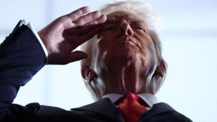 donald trump, us official language, official language in us, us politics, world news