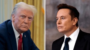 Trump on musk