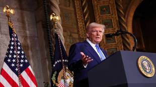 Trump plans to return DOGE savings