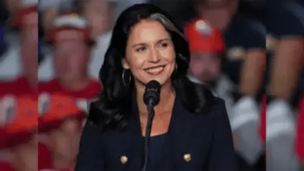 Tulsi Gabbard, Tulsi Gabbard Donald Trump
