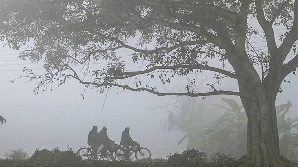 Weather Today: Delhi wakes up to light rain, but poor air quality persists across NCR; visibility improves
