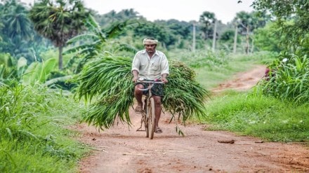 Agritech, startup, Arya.ag, SME, farmer producer organisations, FPO, NBFC