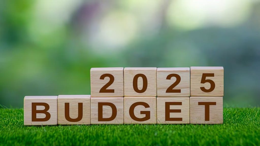 Ajay Piramal, FDI, insurance sector, economy, Budget, budget 2025,