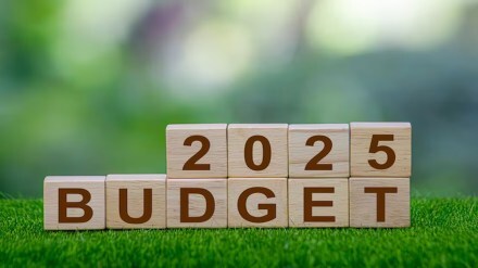 Ajay Piramal, FDI, insurance sector, economy, Budget, budget 2025,