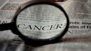 Cancer in India, tropic of cancer in India, most common cancer in India, reason for breast cancer in India, cervical cancer in India, vaccine for cervical cancer in India, tropic of cancer in India passes through which states, best hospital for cancer in India, most common cancer in India in females, line of cancer in India, breast cancer in India, cancer and India, cancer age in India, cervical cancer vaccine in India age, cancer awareness day in India, cancer ascendant celebrities in India, cancer vaccine available in India, anti-cancer vaccine in India, breast cancer actresses in India, head and neck cancer in India, mouth cancer age in India, about tropic of cancer in India, about cancer in India, artificial breast for cancer patients in India, why cancer cases are increasing in India, tropic of cancer and equator in India map, what are the cancer rates in India, how many cancer patients are in India, what are the best cancer hospitals in India, cancer hospital in India best, cancer rate in India by state, cancer treatment in Bangalore India, cancer specialist in Bangalore India, tropic of cancer in India Bhopal, cancer burden India, cancer breakthrough India, cancer biology India, cancer belt India, breast cancer in India 2024, best hospital for breast cancer in India, best hospital for oral cancer in India, best hospital for blood cancer in India, best doctor for cancer in India, best hospital for lung cancer in India, best doctor for blood cancer in India, best hospital for liver cancer in India, cancer treatment in India cost, cancer vaccine in India cost, tropic of cancer in India cities, cancer care India, cancer cure India (-56%), cancer capital India, cancer cost India, cancer cases India, cancer colon India, causes of cancer in India, common cancer in India, colon cancer in India, cost of chemotherapy for breast cancer in India, colorectal cancer in India, commonest cancer in India, CAR-T therapy cancer in India, cost of robotic surgery for prostate cancer in India, cervical cancer in India data, cancer cases in India data, cancer hospital in India Delhi, breast cancer in India data, cancer India data, tropic of cancer in India degree, tropic of cancer in India diagram, cancer donation India, cancer deaths India, cancer drug India, deaths due to cancer in India per year, death rate of cervical cancer in India, death rate of cancer in India, death rate of oral cancer in India, degree of tropic of cancer in India, death due to cervical cancer in India, deadliest cancer in India, dangerous cancer in India, death rate of breast cancer in India, death due to breast cancer in India, cancer patients in India every year, gastric cancer in India epidemiology and standard of treatment, cancer in Northeast India, cancer en India, cancer epidemiology India, cancer express India, esophageal cancer in India, endometrial cancer in India, eye cancer in India, cancer expenses in India, epidemiology of breast cancer in India, epidemiology of cancer in India, epidemiology of oral cancer in India, epidemiology of cervical cancer in India, effect of tropic of cancer in India, epidemiology of lung cancer in India, economic burden of cancer in India