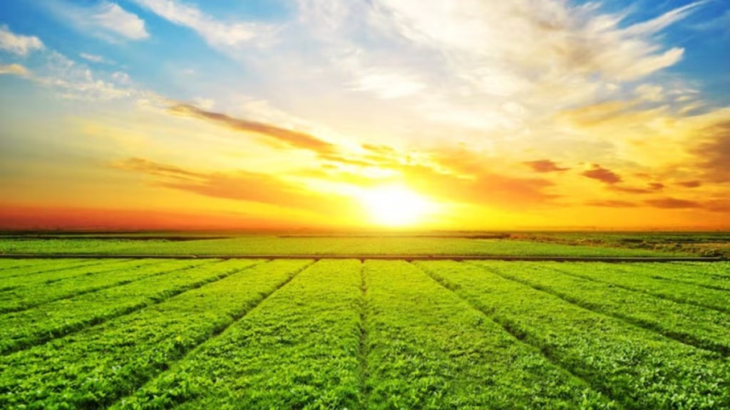 The FY26 Budget revitalizes agriculture with targeted reforms addressing structural challenges. (Image Source: Freepik)