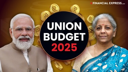 Budget 2025: Street vendors to get Rs 30,000 limit credit card under PM SVANidhi scheme