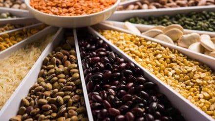 Govt aims to boost pulses output via assured purchase Govt aims to boost pulses output via assured purchase