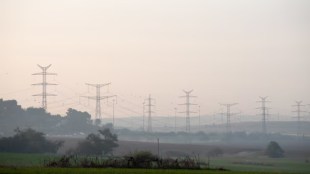 Regulatory clarity and risk-sharing tools critical to Budget's power sector reforms