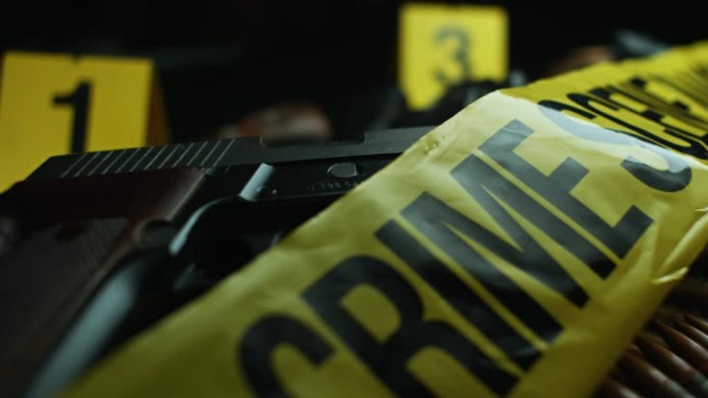 Ludhiana woman and aides kidnap, assault travel agent over ‘deportation’, probe underway Ludhiana woman and aides kidnap, assault travel agent over ‘deportation’, probe underway