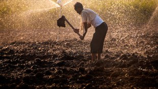 Farmers can now easily access credit using electronic warehouse receipts