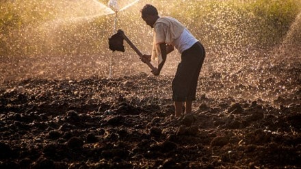 Farmers can now easily access credit using electronic warehouse receipts Farmers can now easily access credit using electronic warehouse receipts