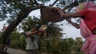 Donald Trump, trade tariff, farm goods, BTA, lower duties, bilateral trade agreement, inflation