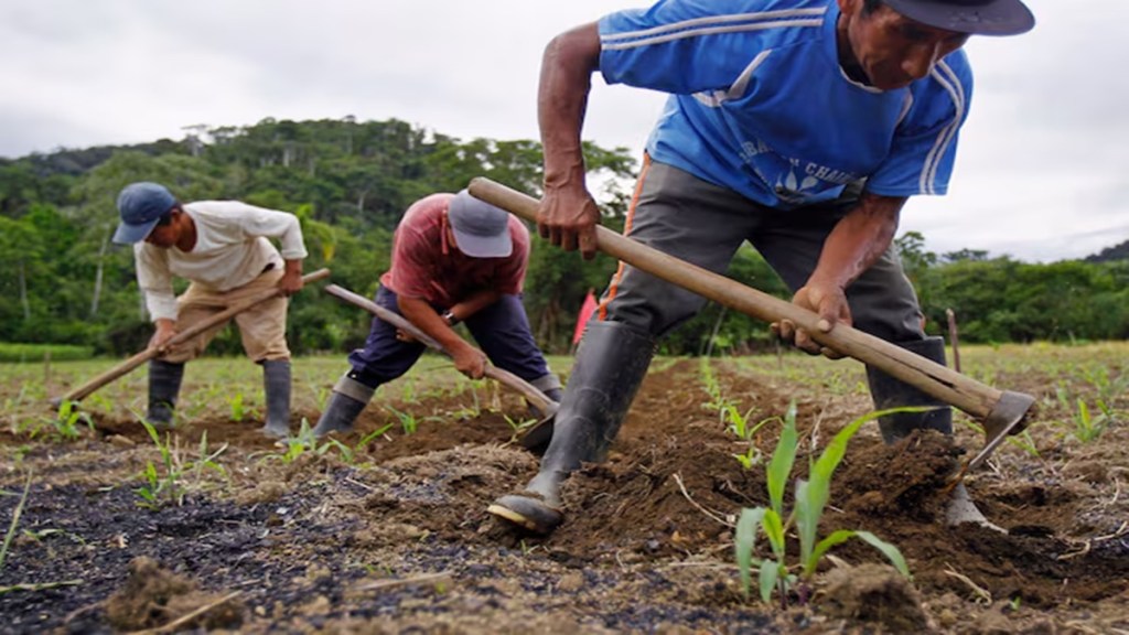 economy, farmers, credit guarantee scheme, small farmers, women, FPOs, e-NWRs