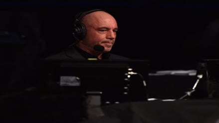 'Some things just make more sense when...': Joe Rogan cracks up at hilarious video explaining crypto price ups, downs