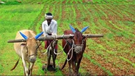 kisan pti